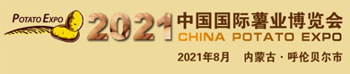 薯博会.jpg